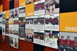 LeRoy Braves Wall Display Design