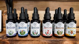 Bottle Labels Branding for White Wood Herbs Sprout Essences